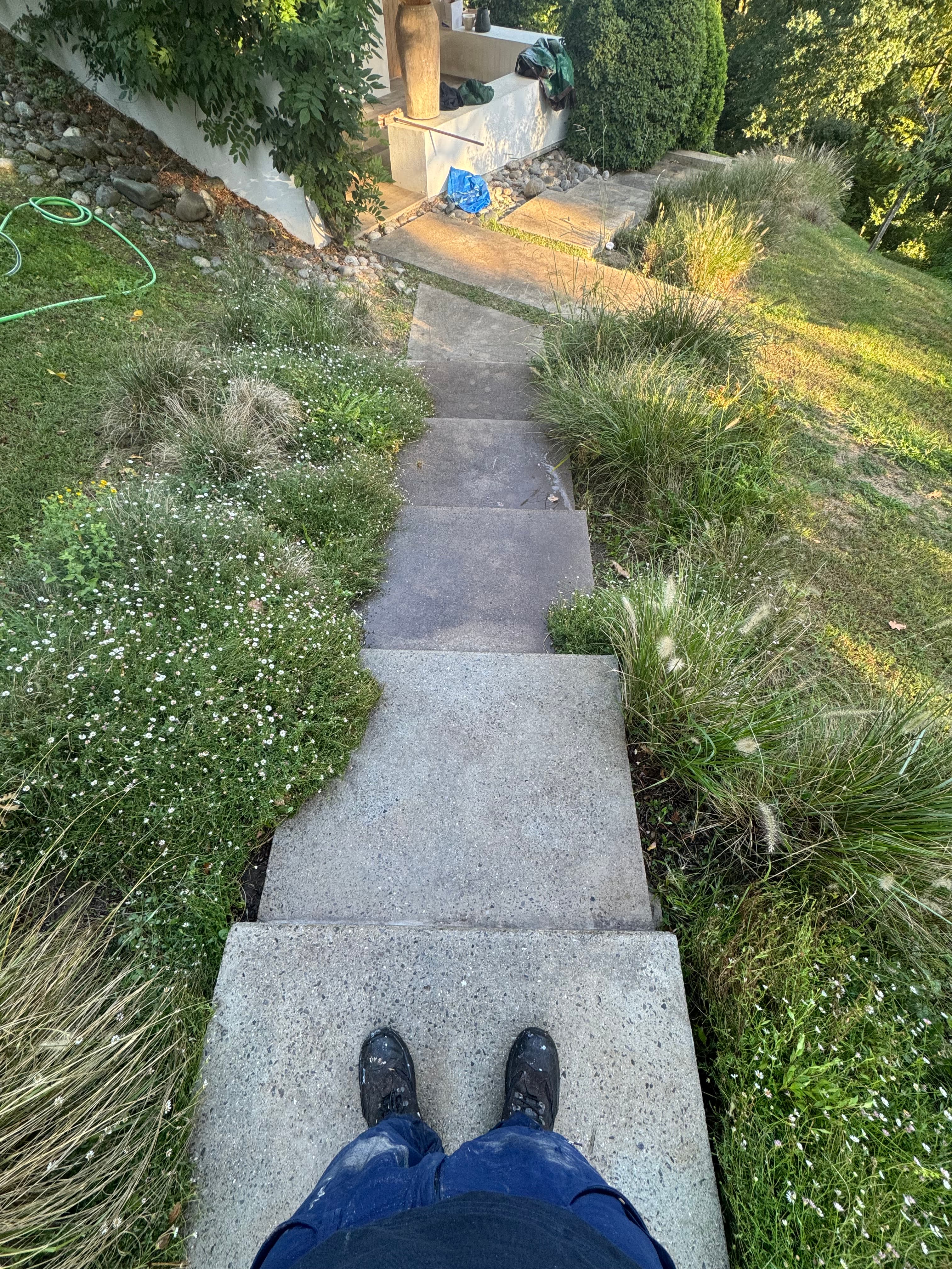 Bottes noires sur un escalier en béton descendant à travers un jardin sauvage et fleuri.